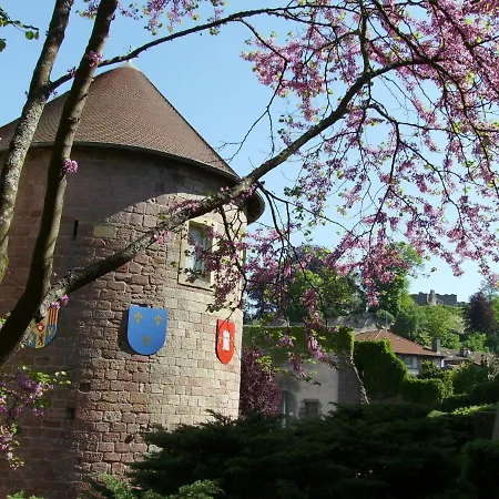 Charmant Tout Confort Pres D'epinal Avec Jardin Et Parking - Fr-1-589-27 *