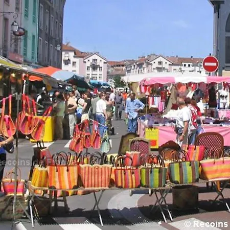 Charmant Tout Confort Pres D'epinal Avec Jardin Et Parking - Fr-1-589-27